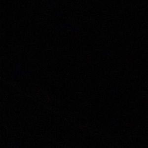 Meet your Posher, Damien